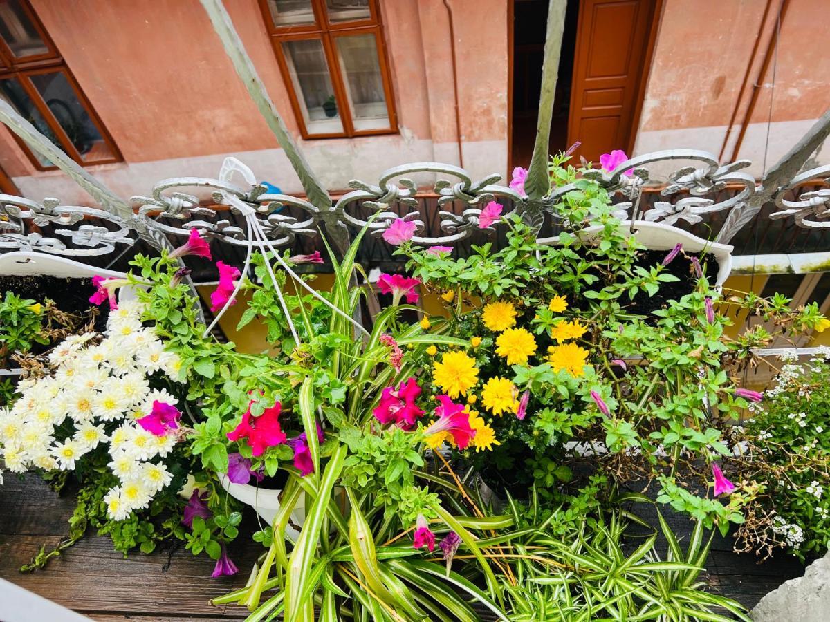 Apartment In The City Center Mini Ivano-Frankivsk Luaran gambar